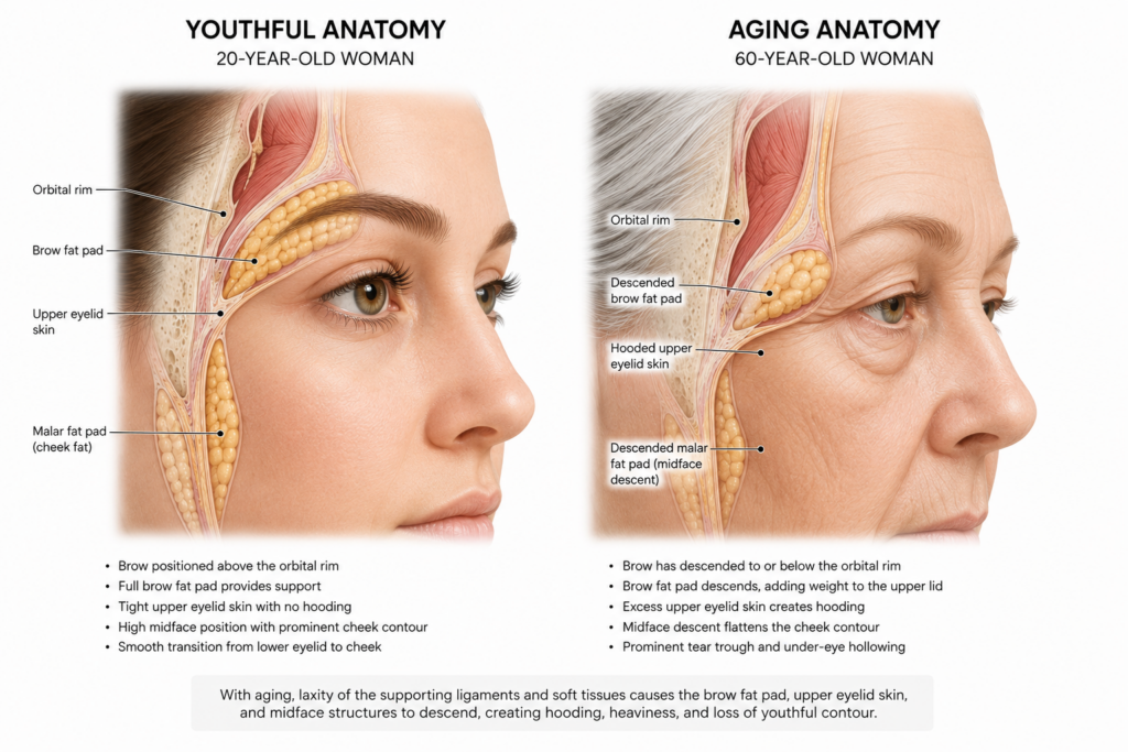 ChatGPT Image Aug 10 2026 at 08_25_45 PM | Plastic Surgery Austin